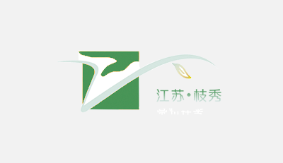 真情獻服務(wù) 錦旗表肯定 || 枝秀常州居家援助服務(wù)團隊收獲三面錦旗