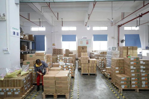 家門口的機遇 賓陽電子廠招工，提供食宿，探索互聯網銷售新方向